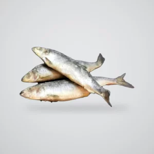 Śledź z ością 1 kg, surowa karma BARF Original