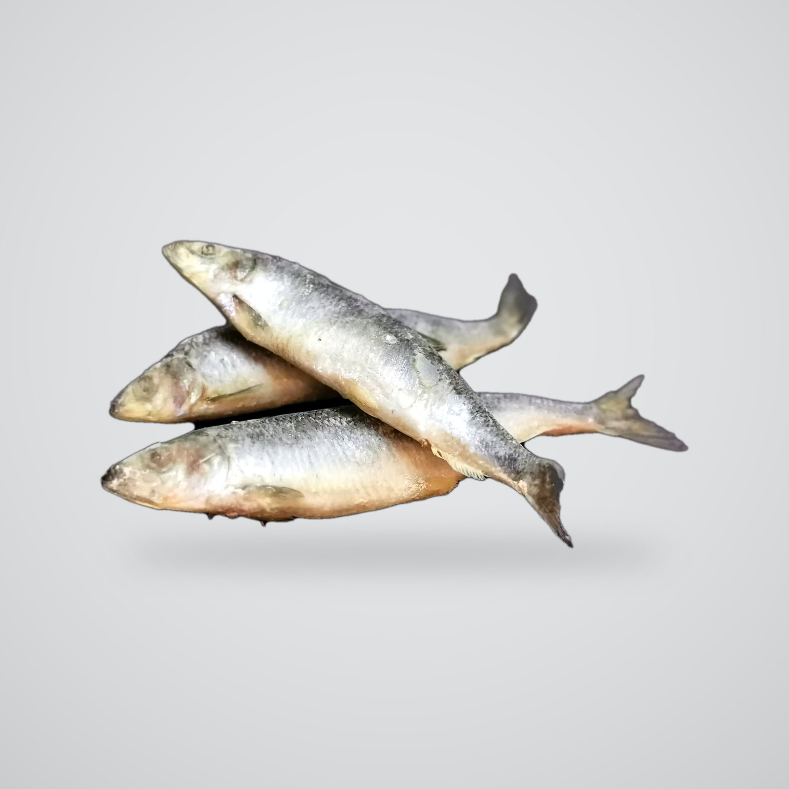 ŚLEDŹ Z OŚCIĄ 1 KG